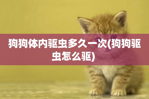 狗狗體內驅蟲多久一次(狗狗驅蟲怎么驅) 