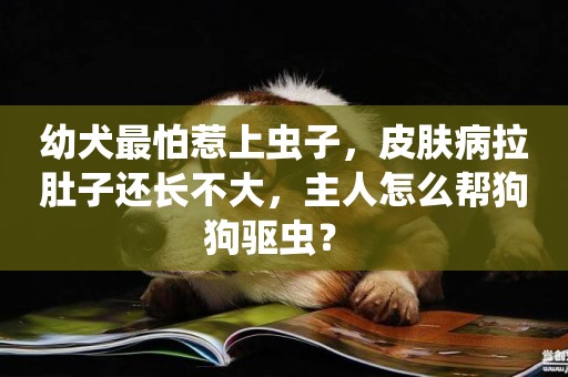 幼犬最怕惹上蟲子，皮膚病拉肚子還長不大，主人怎么幫狗狗驅蟲？ 