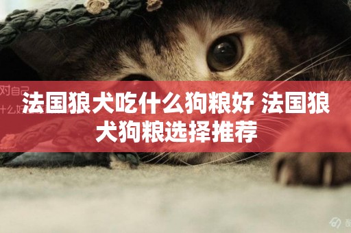 法國狼犬吃什么狗糧好 法國狼犬狗糧選擇推薦