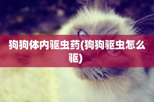 狗狗體內驅蟲藥(狗狗驅蟲怎么驅) 