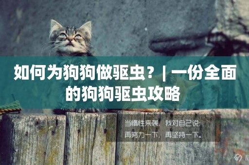 如何為狗狗做驅蟲？| 一份全面的狗狗驅蟲攻略 