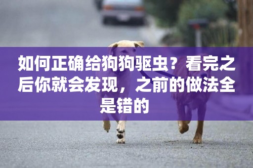 如何正確給狗狗驅蟲？看完之后你就會發現，之前的做法全是錯的 