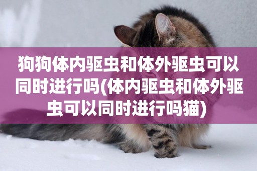 狗狗體內驅蟲和體外驅蟲可以同時進行嗎(體內驅蟲和體外驅蟲可以同時進行嗎貓) 