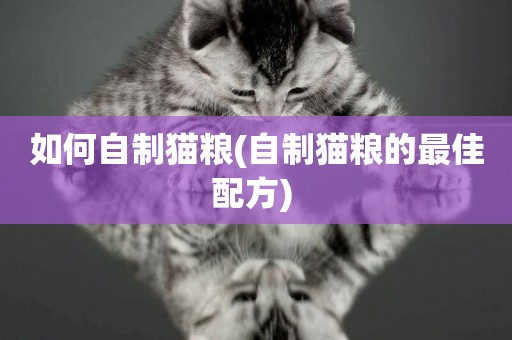 如何自制貓糧(自制貓糧的最佳配方) 