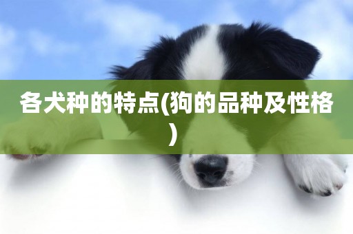 各犬種的特點(狗的品種及性格) 