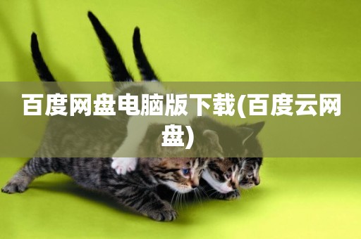 百度網盤電腦版下載(百度云網盤) 