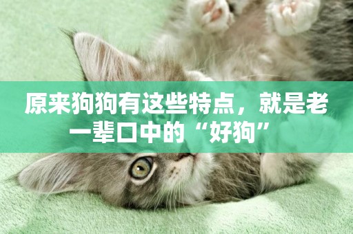 原來狗狗有這些特點，就是老一輩口中的“好狗” 