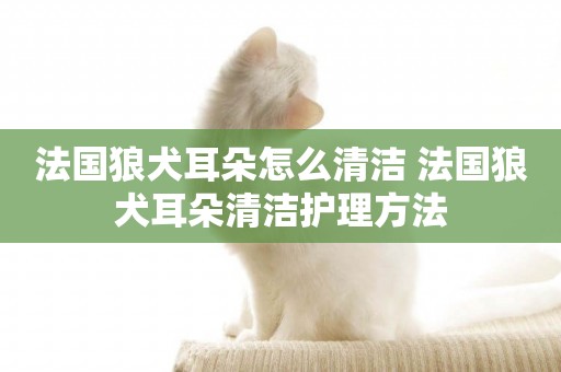 法國狼犬耳朵怎么清潔 法國狼犬耳朵清潔護理方法
