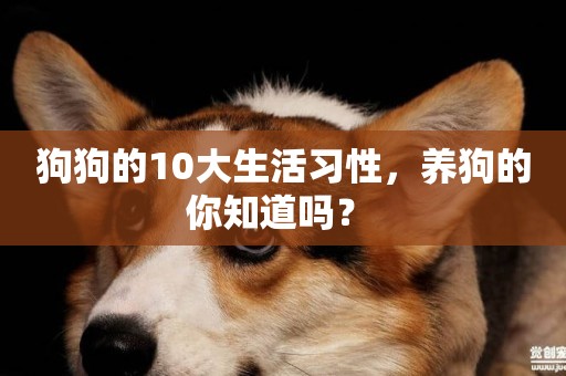 狗狗的10大生活習性，養狗的你知道嗎？ 