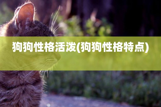 狗狗性格活潑(狗狗性格特點) 