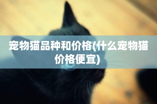 寵物貓品種和價格(什么寵物貓價格便宜) 