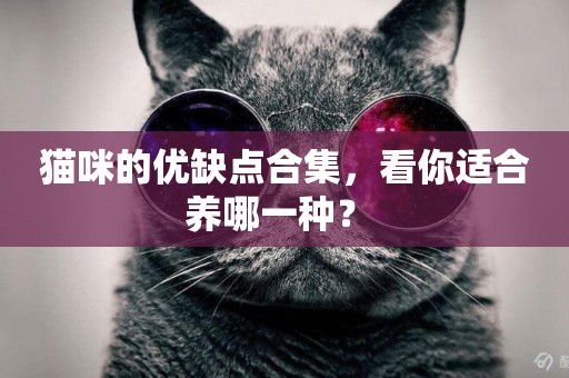 貓咪的優缺點合集，看你適合養哪一種？ 