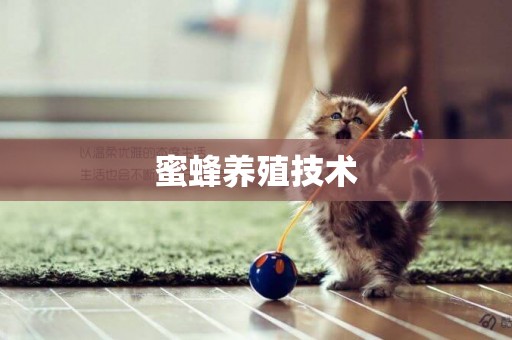 蜜蜂養殖技術