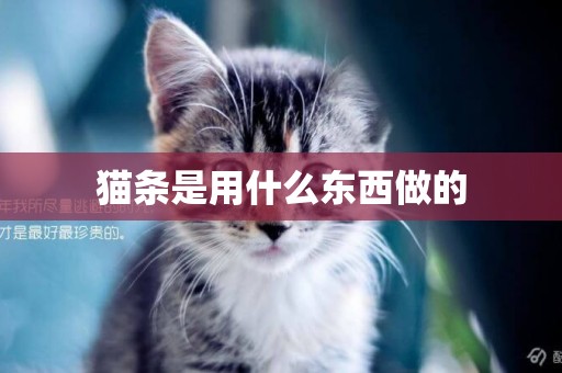 貓條是用什么東西做的