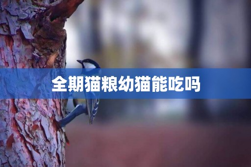 全期貓糧幼貓能吃嗎