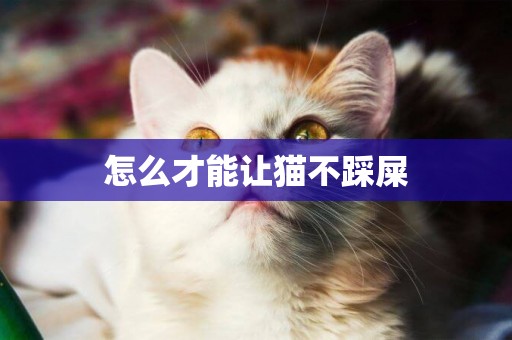 怎么才能讓貓不踩屎