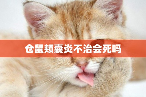 倉鼠頰囊炎不治會死嗎
