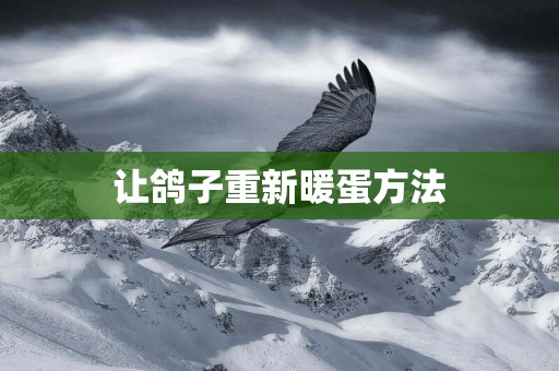 讓鴿子重新暖蛋方法