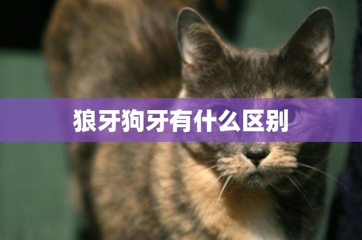 狼牙狗牙有什么區別