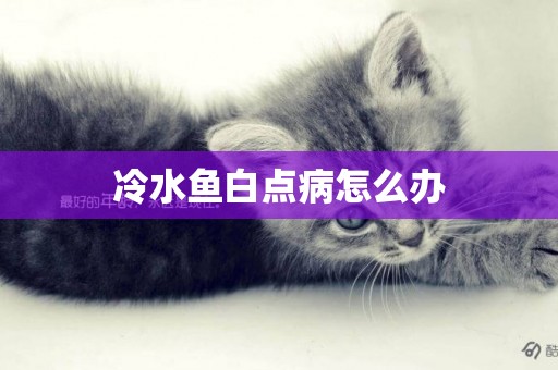 冷水魚白點病怎么辦