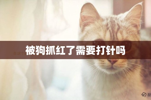 被狗抓紅了需要打針嗎