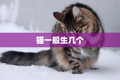 貓一般生幾個