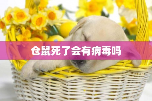 倉鼠死了會有病毒嗎