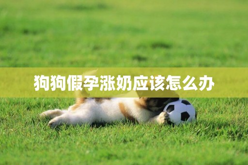 狗狗假孕漲奶應該怎么辦