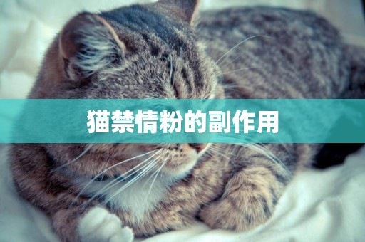 貓禁情粉的副作用
