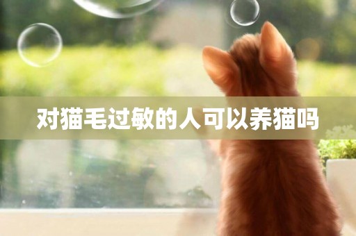 對貓毛過敏的人可以養貓嗎