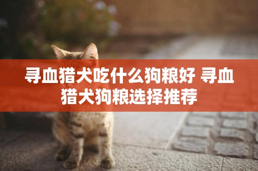 尋血獵犬吃什么狗糧好 尋血獵犬狗糧選擇推薦