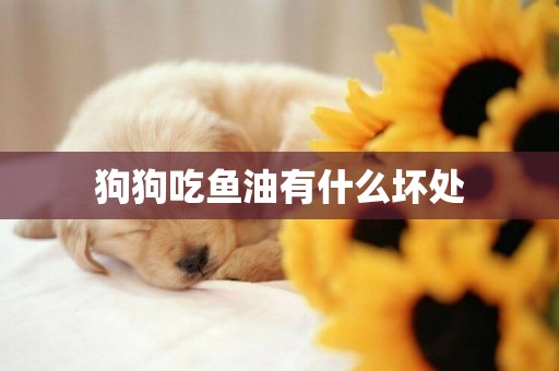 狗狗吃魚油有什么壞處
