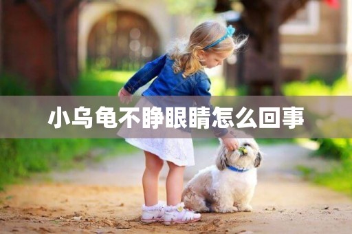 小烏龜不睜眼睛怎么回事