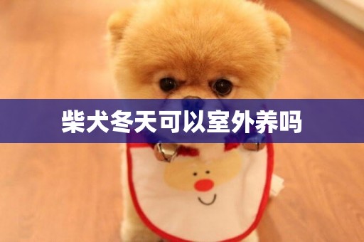 柴犬冬天可以室外養嗎