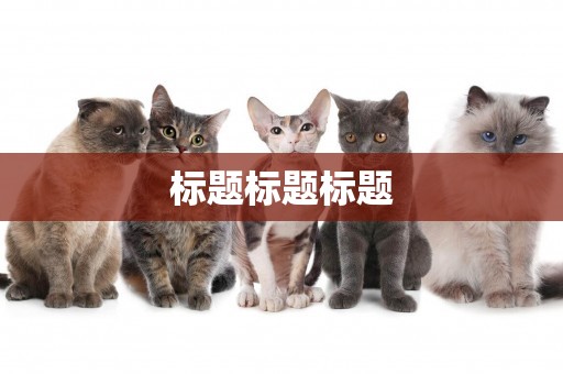 標題標題標題
