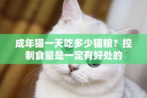 成年貓一天吃多少貓糧？控制食量是一定有好處的