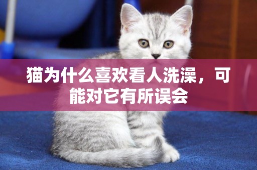 貓為什么喜歡看人洗澡，可能對它有所誤會