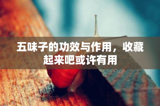 五味子的功效與作用，收藏起來吧或許有用
