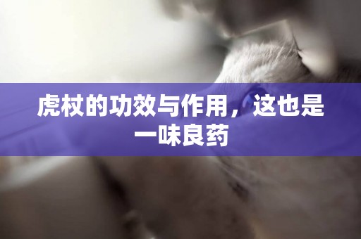 虎杖的功效與作用，這也是一味良藥