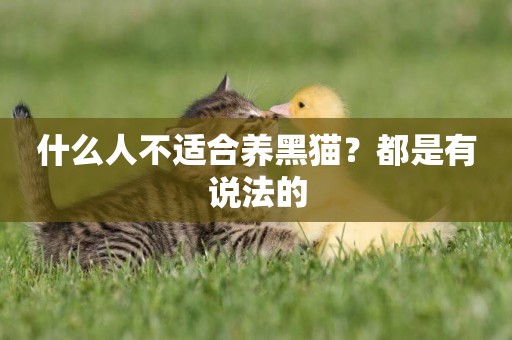 什么人不適合養黑貓？都是有說法的
