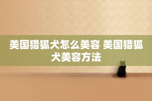 美國獵狐犬怎么美容 美國獵狐犬美容方法