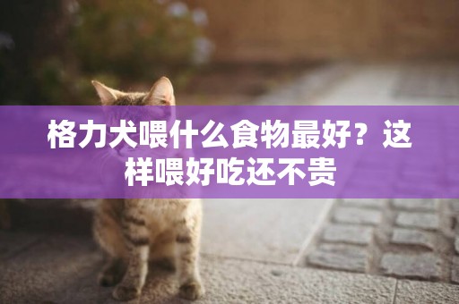 格力犬喂什么食物最好？這樣喂好吃還不貴