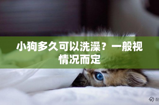 小狗多久可以洗澡？一般視情況而定