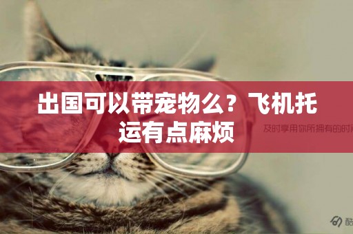 出國可以帶寵物么？飛機托運有點麻煩