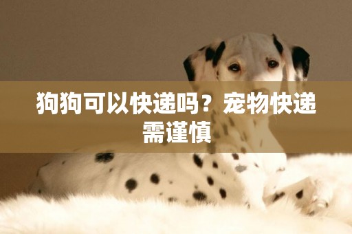 狗狗可以快遞嗎？寵物快遞需謹慎