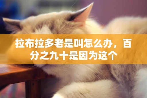 拉布拉多老是叫怎么辦，百分之九十是因為這個