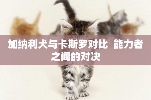 加納利犬與卡斯羅對比  能力者之間的對決