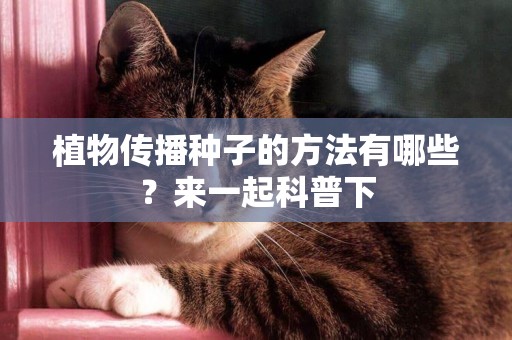 植物傳播種子的方法有哪些？來一起科普下
