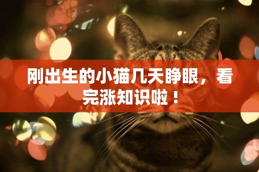 剛出生的小貓幾天睜眼，看完漲知識啦 !
