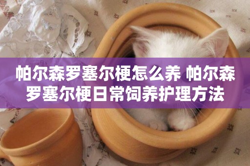 帕爾森羅塞爾梗怎么養 帕爾森羅塞爾梗日常飼養護理方法